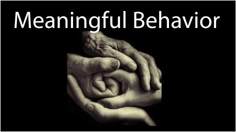MeaningfulBehavior