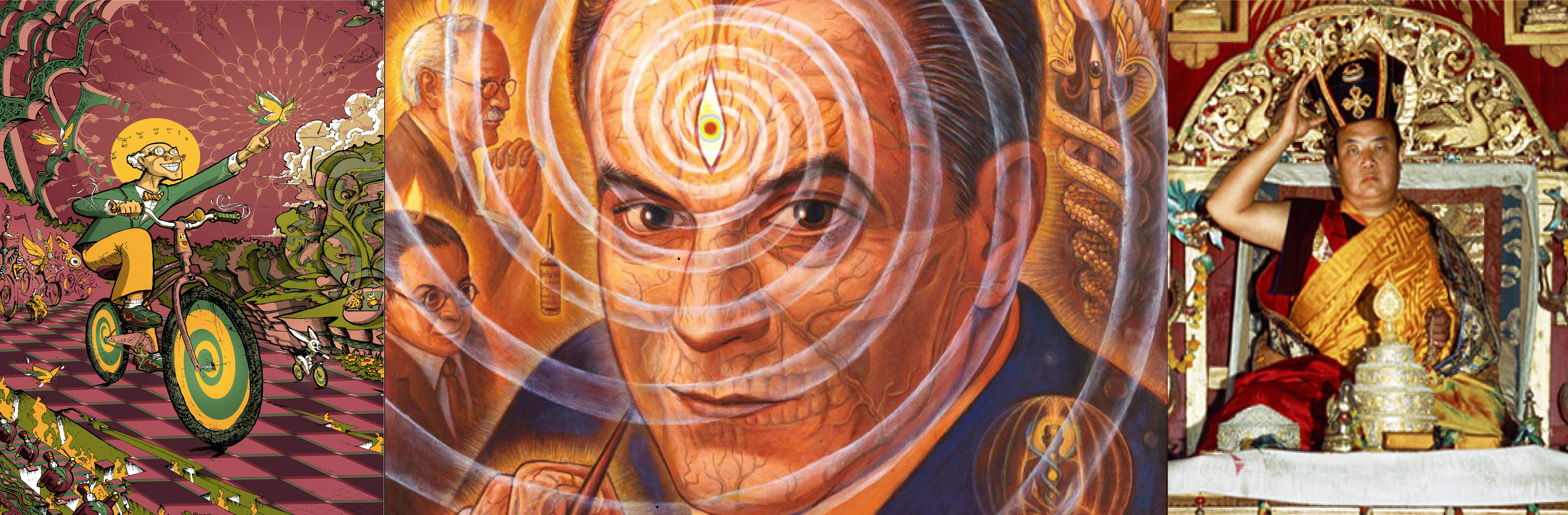 Exploring the Mind: Enlightenment Through LSD or Meditation?